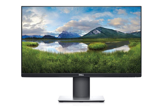 Monitor Dell P2421D 24" LED 2560x1440 IPS HDMI Czarny Klasa A