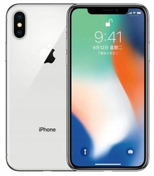 Apple iPhone X A1901 3GB 64GB Silver Powystawowy iOS