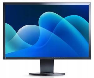 Monitor EIZO EV2416W 24" LED 1920x1200 DisplayPort Czarny Klasa A