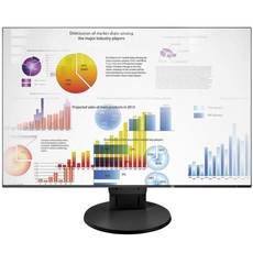 Monitor EIZO FlexScan EV2456 24" IPS 1920x1200 LED HDMI Czarny Klasa A