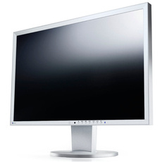 Monitor EIZO FlexScan EV2436W 24" IPS 1920x1200 LED DisplayPort Biały Klasa A/B