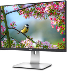 Monitor Dell UltraSharp U2415 24" LED 1920x1200 IPS Klasa A/B