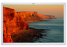 Monitor Fujitsu B24W-7 24" LED 1920x1200 IPS DisplayPort Biały Bez Podstawki Klasa A (PZ)