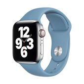 Oryginalny Pasek Apple Sport Band 44mm Northern Blue