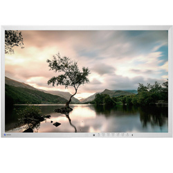 Monitor EIZO EV2216W 22" LED 1680x1050 TN DisplayPort Brak Podstawki Biały