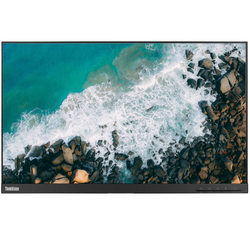 Monitor Lenovo ThinkVision P24q-10 24" LED 2560x1440 DisplayPort Bez Podstawki Klasa A