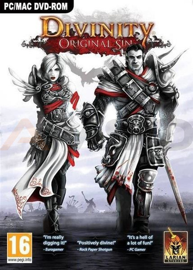 Gra Divinity Original Sin (PC)