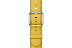 Oryginalny Pasek Apple Watch Classic Buckle Sunflower Leather 42mm w zaplombowanym opakowaniu