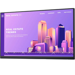 Monitor Dell P2422H 24" LED 1920x1080 IPS HDMI VGA Bez Podstawki Klasa A