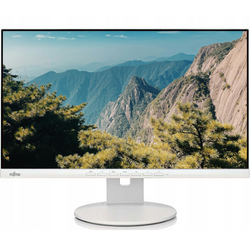 Monitor Fujitsu B24-9 TE 24" LED 1920x1080 IPS DisplayPort Biały Klasa A