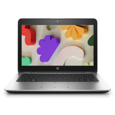 HP EliteBook 725 G3 AMD Pro A10-8700B 8GB 256GB SSD 1920x1080 Klasa A Windows 10 Home
