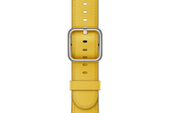 Oryginalny Pasek Apple Watch Classic Buckle Sunflower Leather 42mm w zaplombowanym opakowaniu