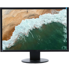 Monitor EIZO FlexScan EV2436W 24" IPS 1920x1200 LED DisplayPort Czarny Klasa A