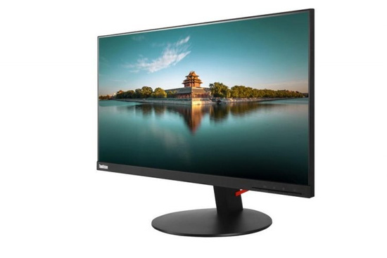 Monitor Lenovo ThinkVision T24i-10 24" LED 1920x1080 DisplayPort Klasa A