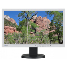 Monitor Eizo EV2335W 23" IPS 1920x1080 LED DisplayPort Klasa A