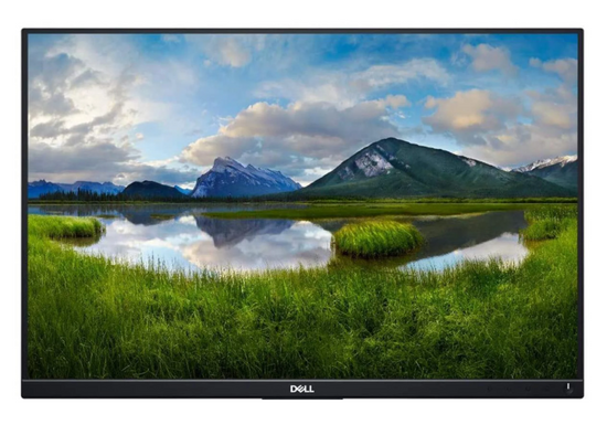 Monitor Dell P2421 24" LED 1920x1200 IPS HDMI Czarny Bez Podstawki Klasa A-