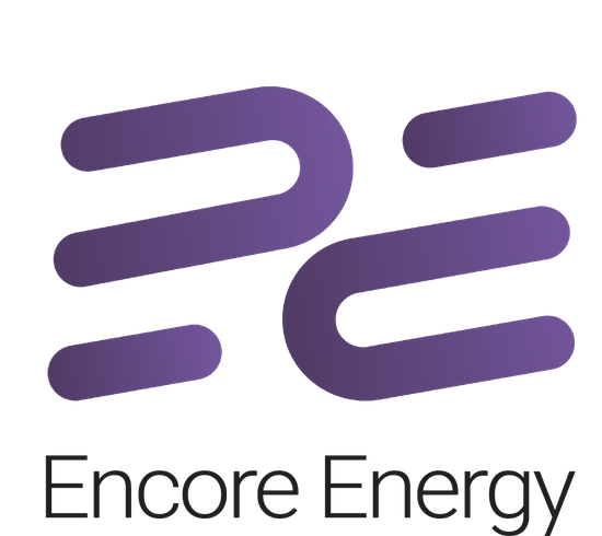 Nowy Zasilacz Encore Energy do Lenovo 90W wtyk prostokątny Slim Tip