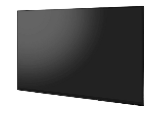 Monitor EIZO FlexScan EV2456 24" IPS 1920x1200 LED HDMI Czarny Bez Podstawki Klasa A