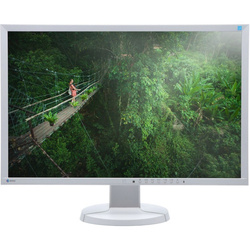 Monitor EIZO FlexScan EV2436W 24" IPS 1920x1200 LED DisplayPort Nieoryginalna Podstawka Biały Klasa A-