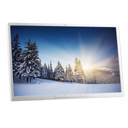 Monitor Fujitsu 24" B24-8 TE PRO IPS 1920x1080 LED Biały Bez Podstawki Klasa B