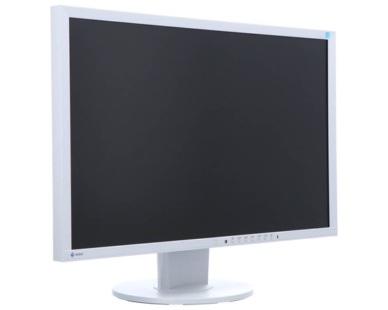 Monitor EIZO EV2416W 24" LED 1920x1200 DisplayPort Biały Klasa A