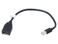 Adapter Przejściówka Lenovo Mini DisplayPort do DisplayPort 0XL360 102