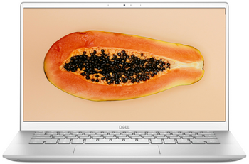 Dell Inspiron 5405 AMD Ryzen 3 4300U 16GB 512GB SSD 1920x1080 Klasa A- Windows 11 Professional