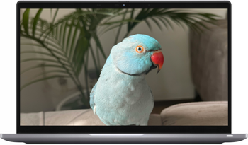 Dell Latitude 7420 Srebrny i5-1135G7 16GB 512GB SSD 3840x2160 Klasa A- Windows 11 Professional