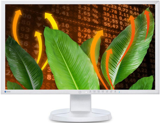 Monitor EIZO EV2316W 23" LED 1920x1080 TN D-SUB DisplayPort Biały Klasa A