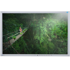 Monitor EIZO FlexScan EV2436W 24" IPS 1920x1200 LED DisplayPort Biały Bez Podstawki Klasa A