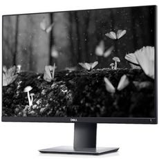 Monitor Dell P2421 24" LED 1920x1200 IPS HDMI Czarny Klasa A