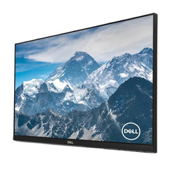 Monitor Dell S2421HN 24" LED 1920x1080 IPS HDMI Bez Podstawki Klasa B