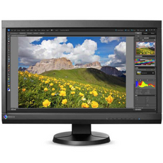 Monitor EIZO ColorEdge CS230 23" LED 1920x1080 DisplayPort Czarny Klasa A