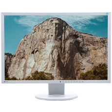 Monitor EIZO EV2416W 24" LED 1920x1200 TN BIAŁY Klasa A-