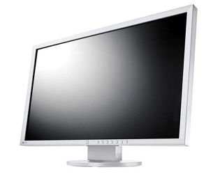 Monitor EIZO EV2416W 24" LED 1920x1200 TN BIAŁY Klasa A/B Nieoryginalna Podstawka