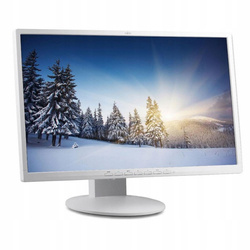 Monitor Fujitsu B24-8 TE PRO 24" IPS 1920x1080 LED Biały Klasa A