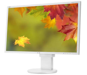 Monitor NEC MultiSync EA223WM 22" LED 1680x1050 TN DisplayPort Biały Klasa A
