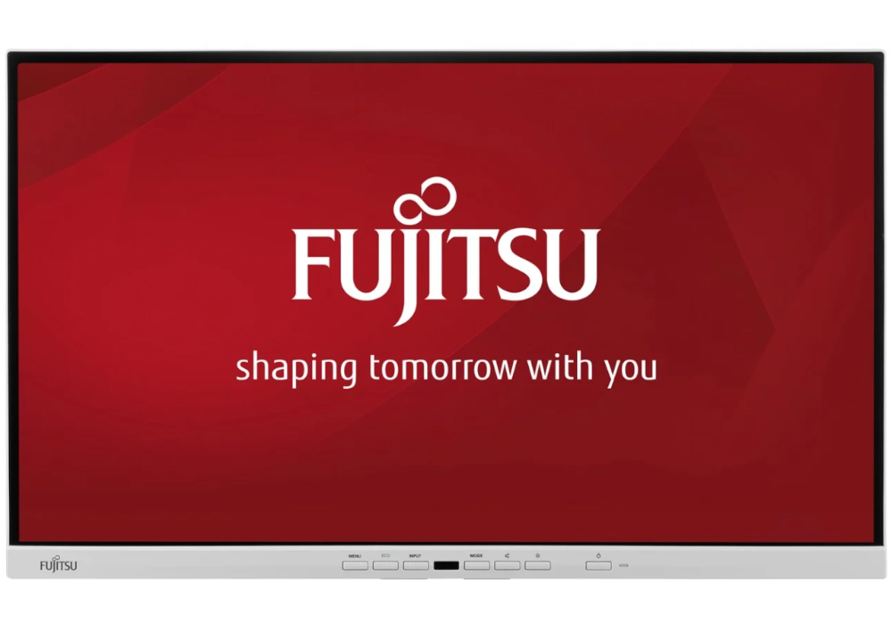 Monitor Fujitsu P24-9 TE 24" LED 1920x1080 Biały BZ Bez Podstawki Klasa B