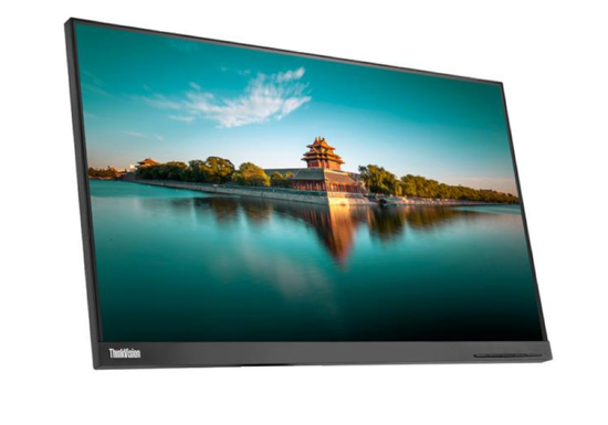 Monitor Lenovo ThinkVision P24H-10 24" LED 2560x1440 DisplayPort Bez Podstawki Klasa A-